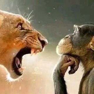 Логотип @bioslovo - Биология в школе