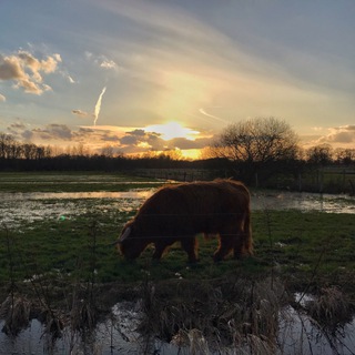 Логотип @biosquirrelchat - Биолог в Гамбурге: чат