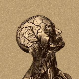 Логотип @biotoma - Биотомия