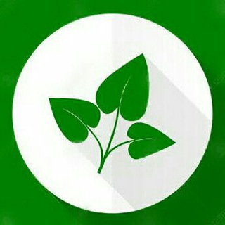 Логотип @biovegetal - Biologia Vegetal