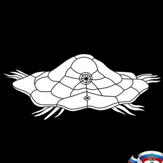 Логотип @biovseros - Биологи-всеросники