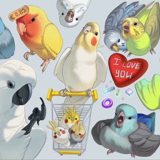 Логотип @birbchat - Birb Chat