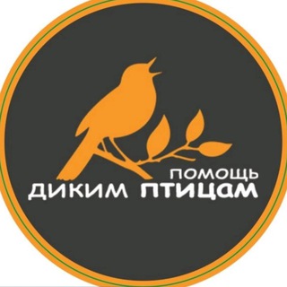 Логотип @birdhelp - birdhelp
