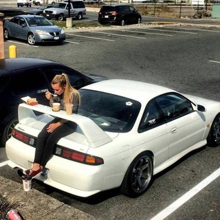 Логотип @birdmarket38 - Байкальский спойлер