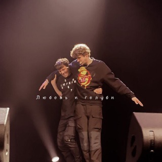 Логотип @birds_and_lovers - Любовь и голуби🕊