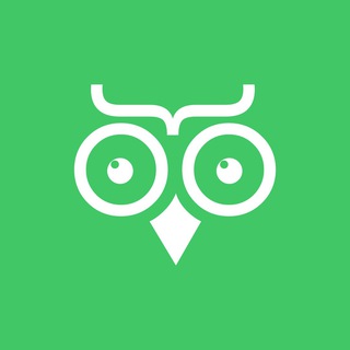 Логотип @birds_rus - Birdbook