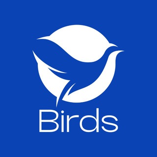 Логотип @birds_team - BIRDS - работа за границей