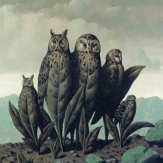 Логотип @birdsaround - Birds and others