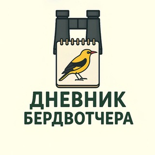 Логотип @birdwat - Дневник бердвотчера