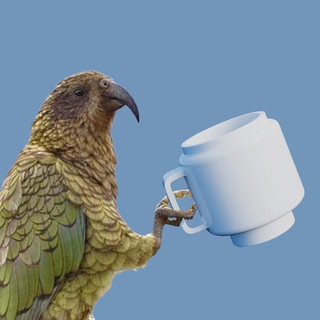 Логотип @birdwatcherlvlone - Birdwatcher_Lvl one