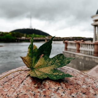 Логотип @birobidzhan_gid - Новости Биробиджана