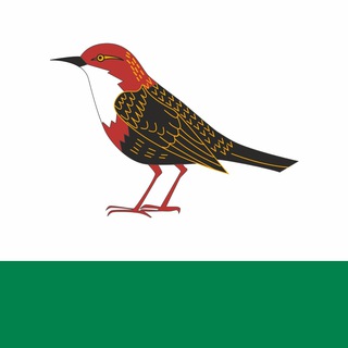 Логотип @birsk_gid - Новости Бирска