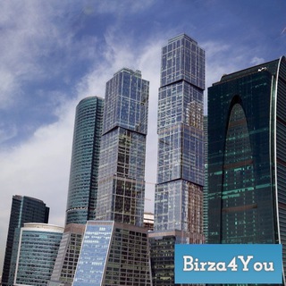 Логотип @birza4you_channel - Биржа для вас!