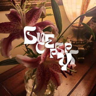 Логотип @biserburg52 - бисербург 52