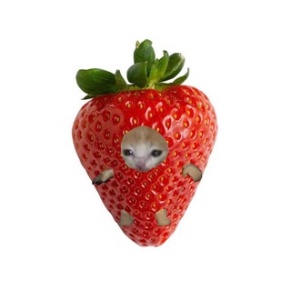 Логотип @bisertomy - Амигуруми из бисера