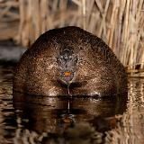 Логотип @biska_pobra - |🖼️𝓑𝓮𝓪𝓾𝓽𝓲𝓯𝓾𝓵 𝓹𝓲𝓬𝓽𝓾𝓻𝓮𝓼🖼️|