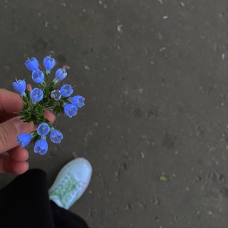 Логотип @bismillah_777 - Biismillah.gr