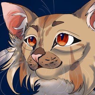 Логотип @bisouhouse - Домик Бису🥮💼