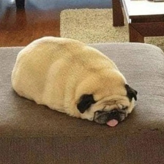 Логотип @bisserfan0 - Your wildberries❤‍🩹