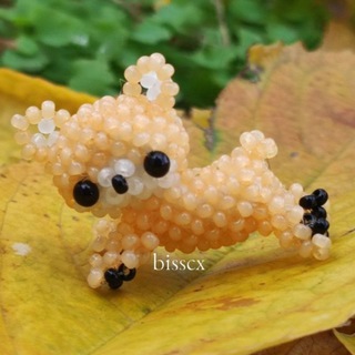 Логотип @bissvol - bisscx