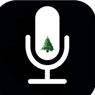 Логотип @bit_golos - Бит Голос