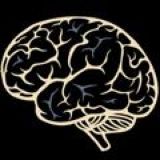 Логотип @bitbrain5 - ФРИЛАНС ЧАТ BITBRAINS