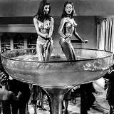 Логотип @bitchbar - БарСук