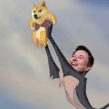 Логотип @bitcoincrypto_memes - Bitcoin & Crypto Memes 😜