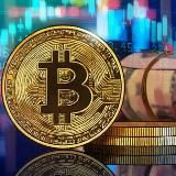 Логотип @bitcoinfreecoins - Drops