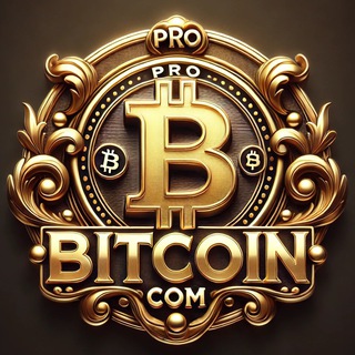 Логотип @bitcoinhaker - PRO BITCOIN | CHAT 🚀