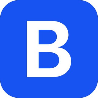 Логотип @bitinsurecom - Bitinsure Chat