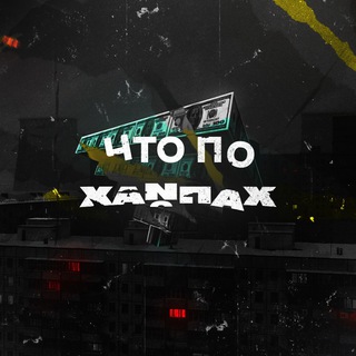 Логотип @bitmonstersruss - Что по хайпах? 🤑