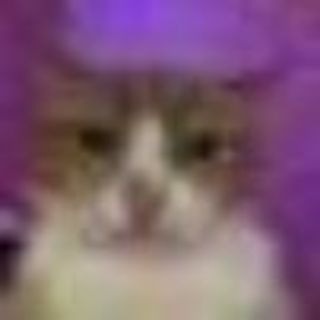 Логотип @bitterstrangetg - bitter strange