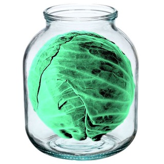 Логотип @bizneskapusta - Капуста в банке