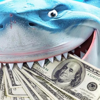 Логотип @biznsharks - Бизнес акулы 🦈