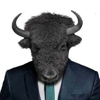 Логотип @bizonex_africa - Bizonex Africa