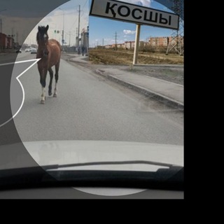 Логотип @bizqosshy - Астана Басшы Біз Косшы Телеграм