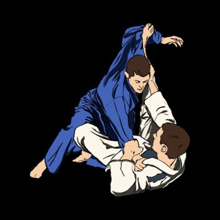 Логотип @bjjtechniques - BJJ tech