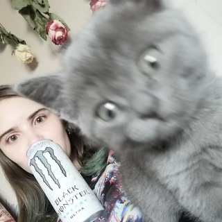 Логотип @bkotiki - Покажи киску