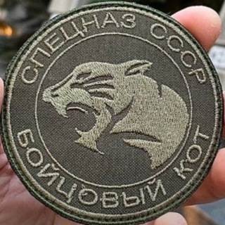 Логотип @BKPROGRESSor - ПРОГРЕССОР