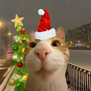 Логотип @bl111n - блин