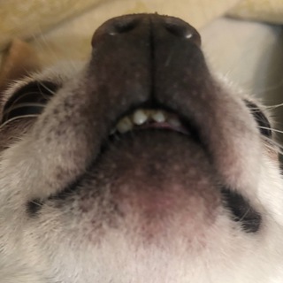 Логотип @bl_off - Black off