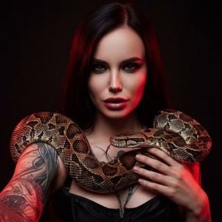 Логотип @black13_moon - Женевьева Шулик ⛦