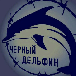 Логотип @black_delphine_chat - Черный - Дельфин [КУРИЛКА]