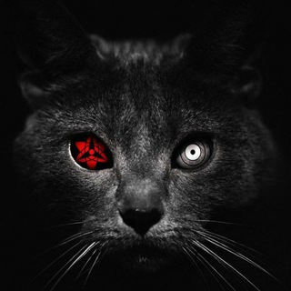 Логотип @black_muzon_1 - ʙʟᴀᴄᴋ | ᴍᴜᴢ😈😈