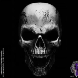 Логотип @black_riders_night - 爪卂́丂 卂ㄥㄥ卂́ ᗪ乇ㄥ 爪|乇ᗪㄖ ~~☠️~~💀