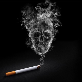 Логотип @black_scandal - Черный Скандал 💀