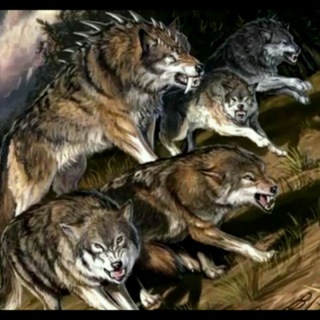 Логотип @blackalpha2207 - 👊GROUP_N1👊