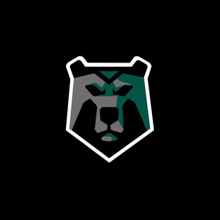 Логотип @blackbearshockey - Blackbears_hockey