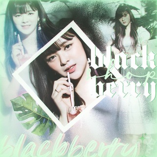 Логотип @blackberryshopz - blackberry shop|黑莓商店